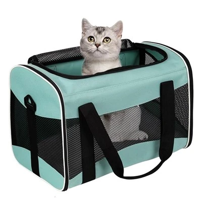 Cat Carrying Case